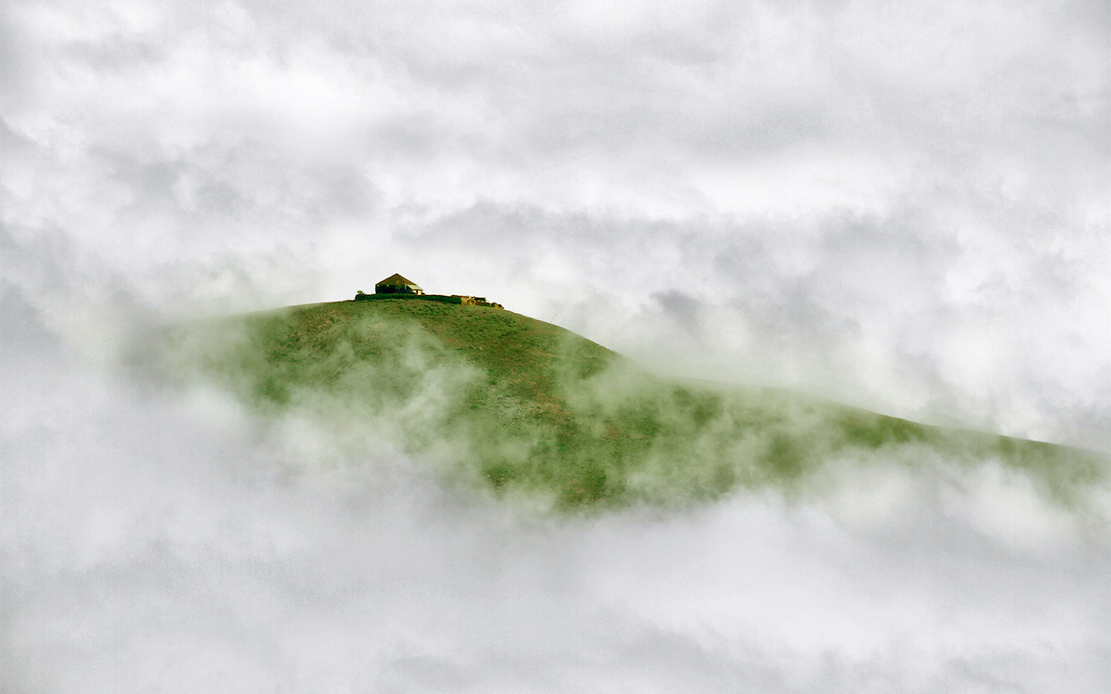 Greenwashing and Sustainable business practices, what’s the difference?